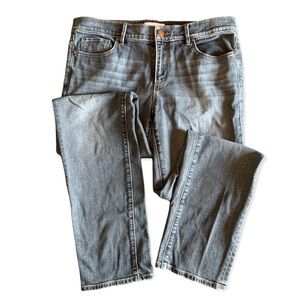 Ann Taylor Loft Modern Straight Jeans